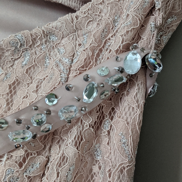 NWT Pink Lace Mermaid Dress/Gown - Picture 7 of 7